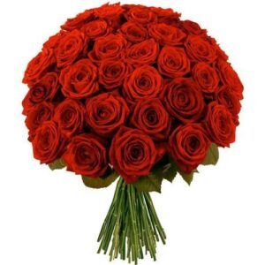 bouquet de fleurs rouge