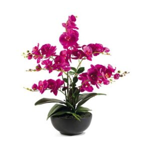 fleurs violet dans un vase