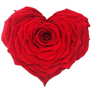 fleur rouge en forme cœur