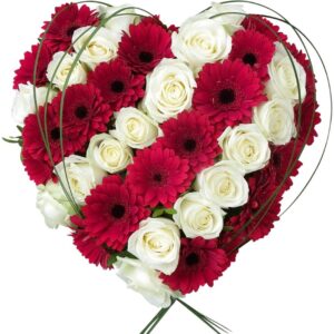 bouquet de fleur rouge et blanc