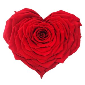 fleur rouge en cœur