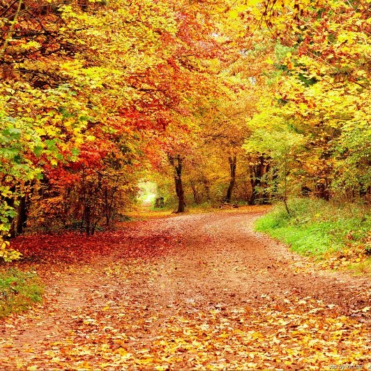 Photo de Jean-Claude THUMERELLE