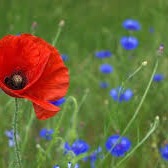 Photo de Robert JEAN