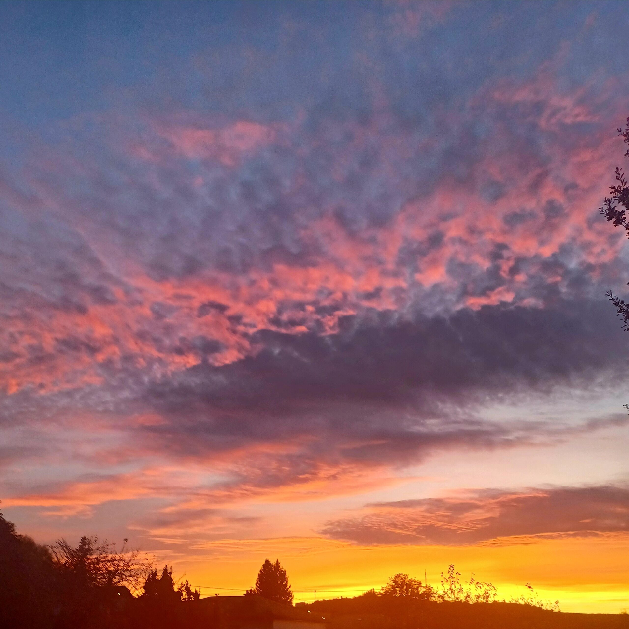 Photo de Jackie LAFOREST