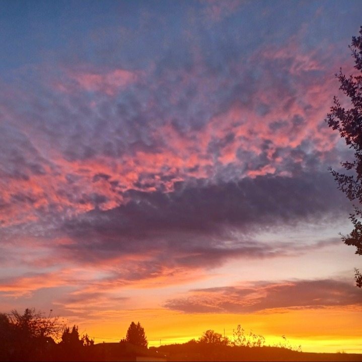 Photo de Jackie LAFOREST